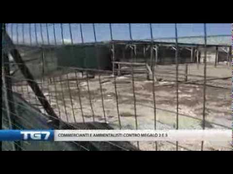 Tg7 9 marzo 2014