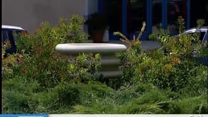 TG7 domenica 28 aprile 2013