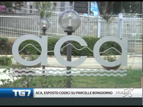 Tg7 domenica 4 novembre 2012