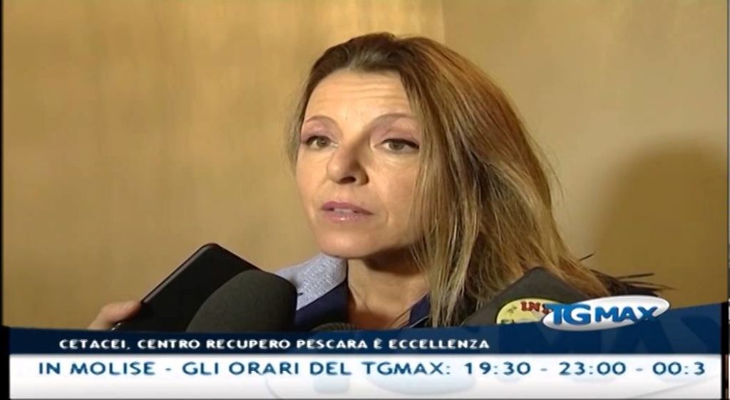 Tgmax 10 dicembre 2015