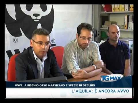 Tgmax 10 settembre 2012