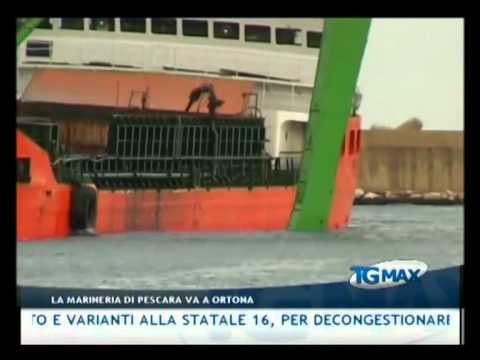 TGMAX 11 gennaio 2012