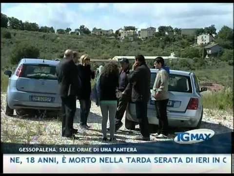TGMAX 18 maggio 2012