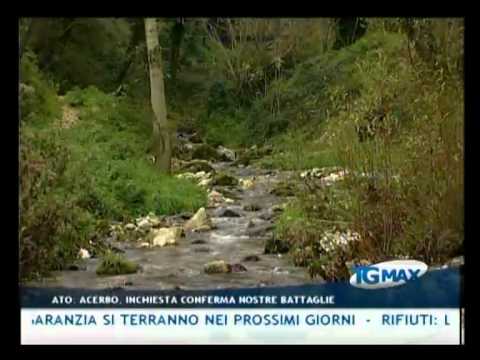 TGMAX 2 gennaio 2012