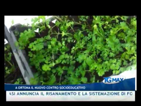 TGMAX 5 aprile 2012