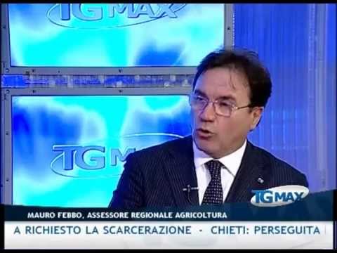 Tgmax 7 dicembre 2012