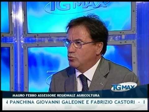 TGMAX 7 settembre 2011