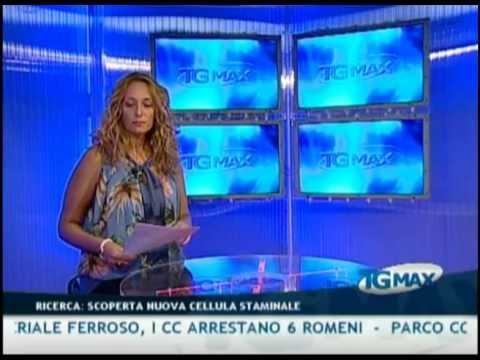 TGMAX del 14 settembre 2011