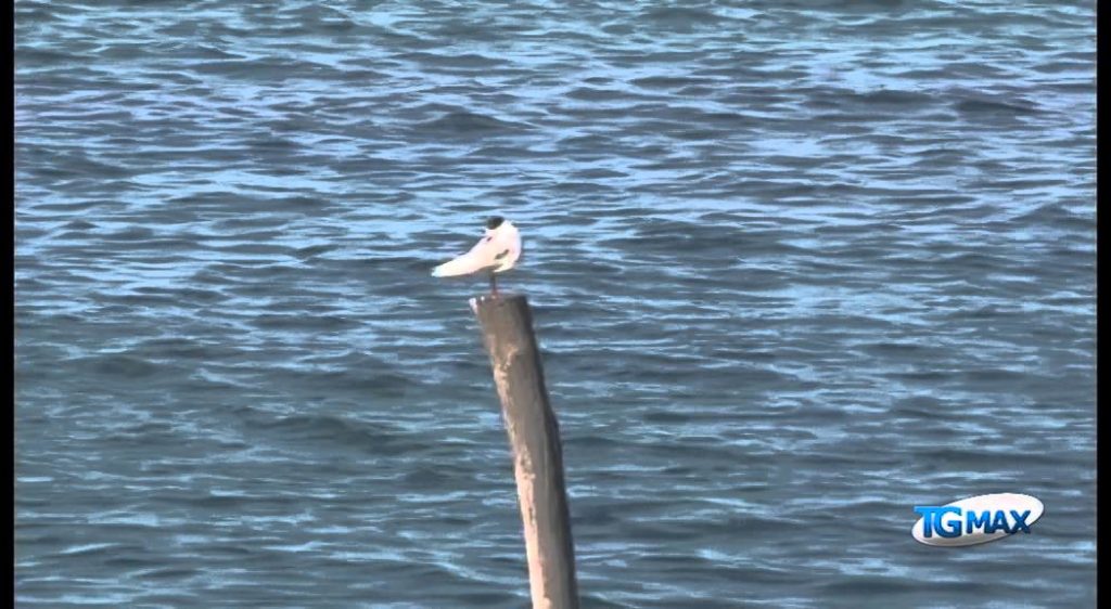 Trabocco Turchino, affidati lavori ricostruzione
