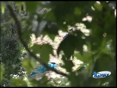 Uccide la moglie malata e si suicida