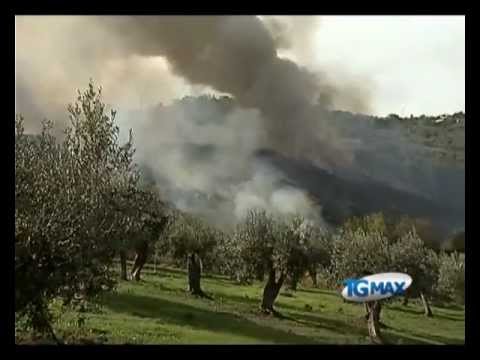 Vasto, potature a fuoco