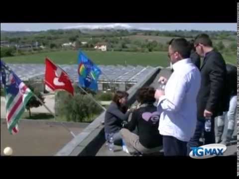 Vertenza Cotir, ricercatori sul tetto