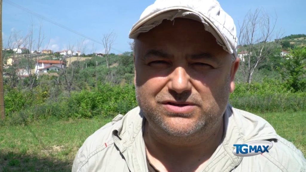 La guerra del tartufo nel Frentano tra cani avvelenati con stricnina e auto incendiate