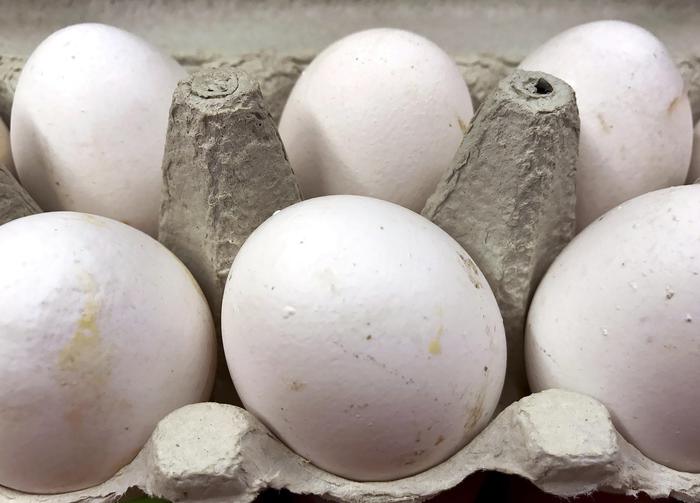 Uova contaminate, l’istituto zooprofilattico farà le analisi