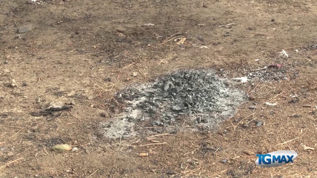 Incendio nella riserva naturale Santa Filomena, a fuoco tende abusive di stranieri espulsi