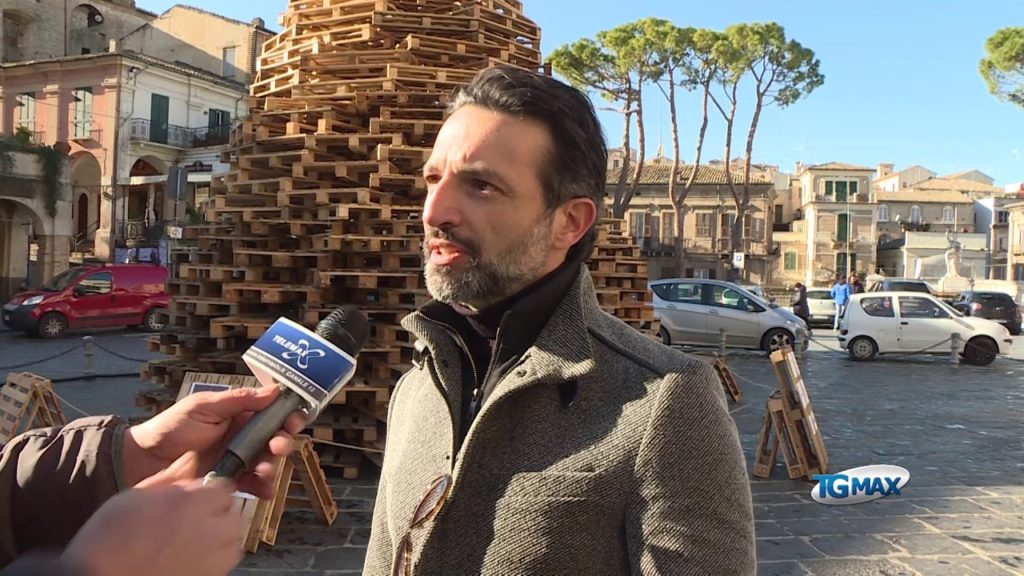 Albero senziente, la difesa dell’associazione Arena 7