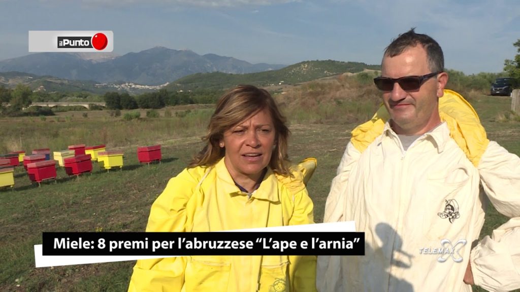 Miele, 8 premi per l’abruzzese L’ape e l’arnia Il Punto