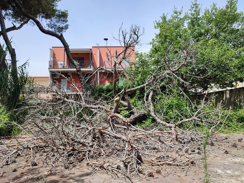 Pineta Dannunziana: Soa diffida il Comune di Pescara sulla gestione
