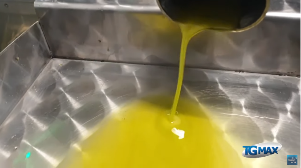 Olio nuovo: ottima qualità, prezzo in salita