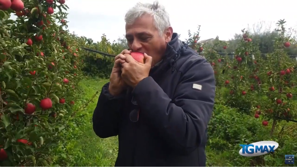 Una mela al giorno… ecco la produzione in Abruzzo
