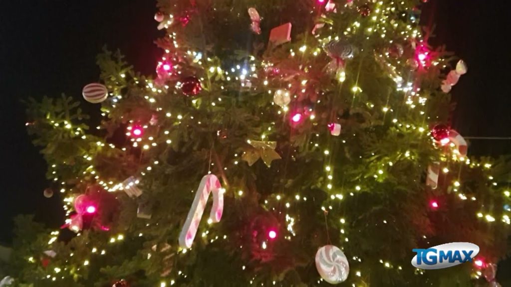 Lanciano: acceso l’albero di Natale in piazza Plebiscito