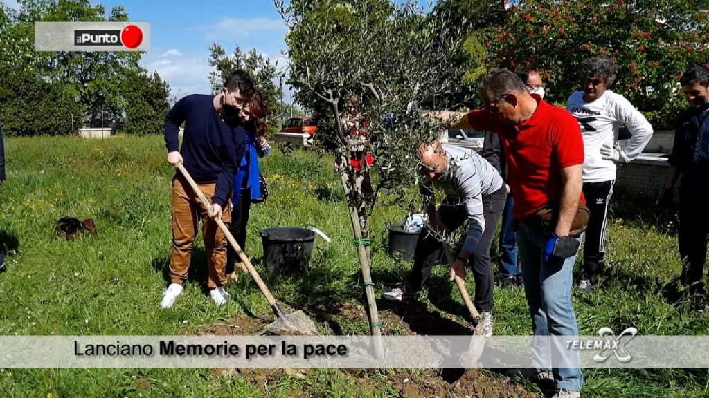 Lanciano: Memorie per la pace affida tre alberi di ulivo ai ragazzi del quartiere