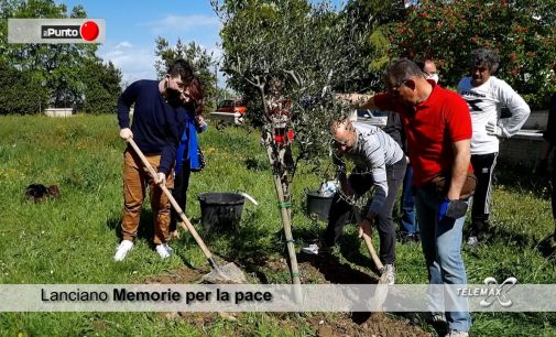 Lanciano: Memorie per la pace affida tre alberi di ulivo ai ragazzi del quartiere