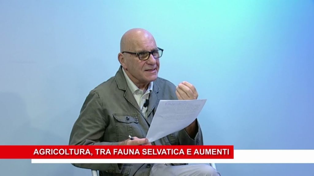 Il Punto Agricoltura tra fauna selvatica e aumenti