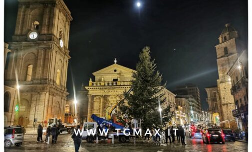 Lanciano: è arrivato da Casoli l’albero di Natale 2022