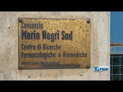 Negri sud: la Provincia ci riprova e pubblica il bando per la locazione