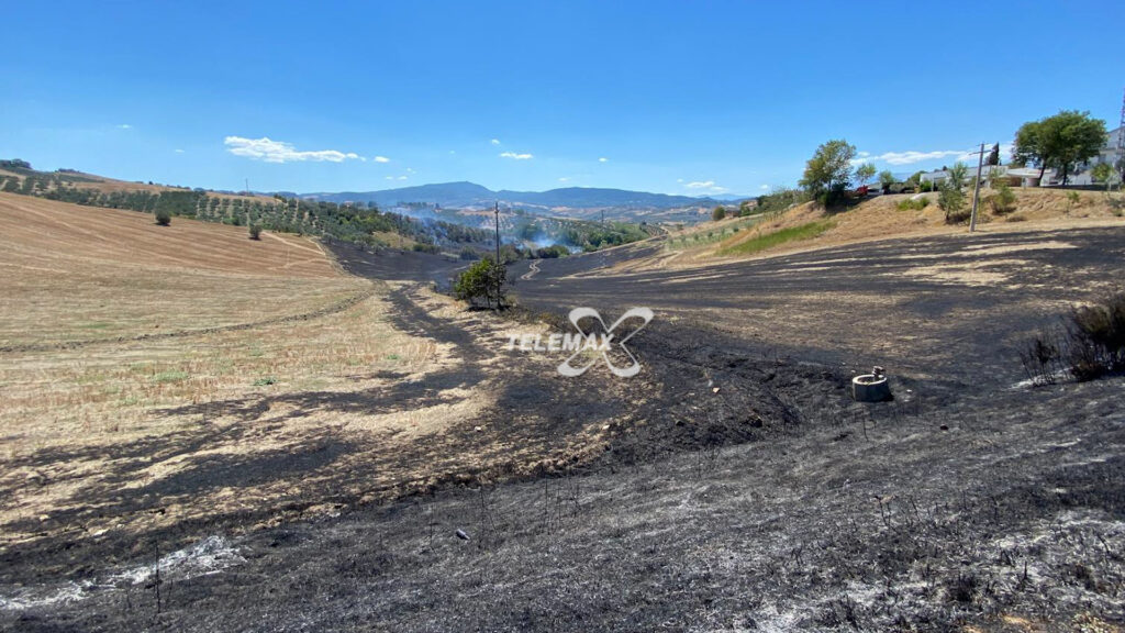 Atessa, domato incendio di sterpaglie