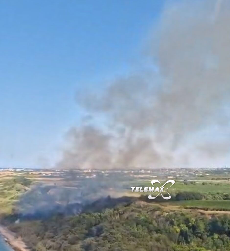 Punta Aderci e San Salvo, incendi domati